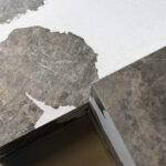 Thumbnail of 