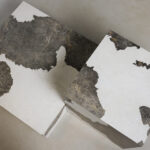 Thumbnail of 