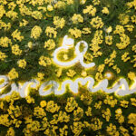 Thumbnail of 